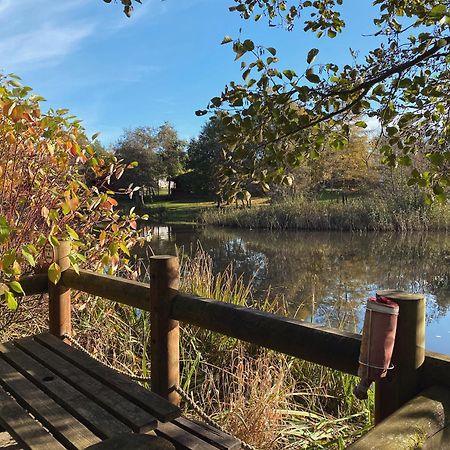 Hazel Oaks, Beautiful Lodge With Hot Tub - Sleeps 6 - Felmoor Park 몰페스 외부 사진
