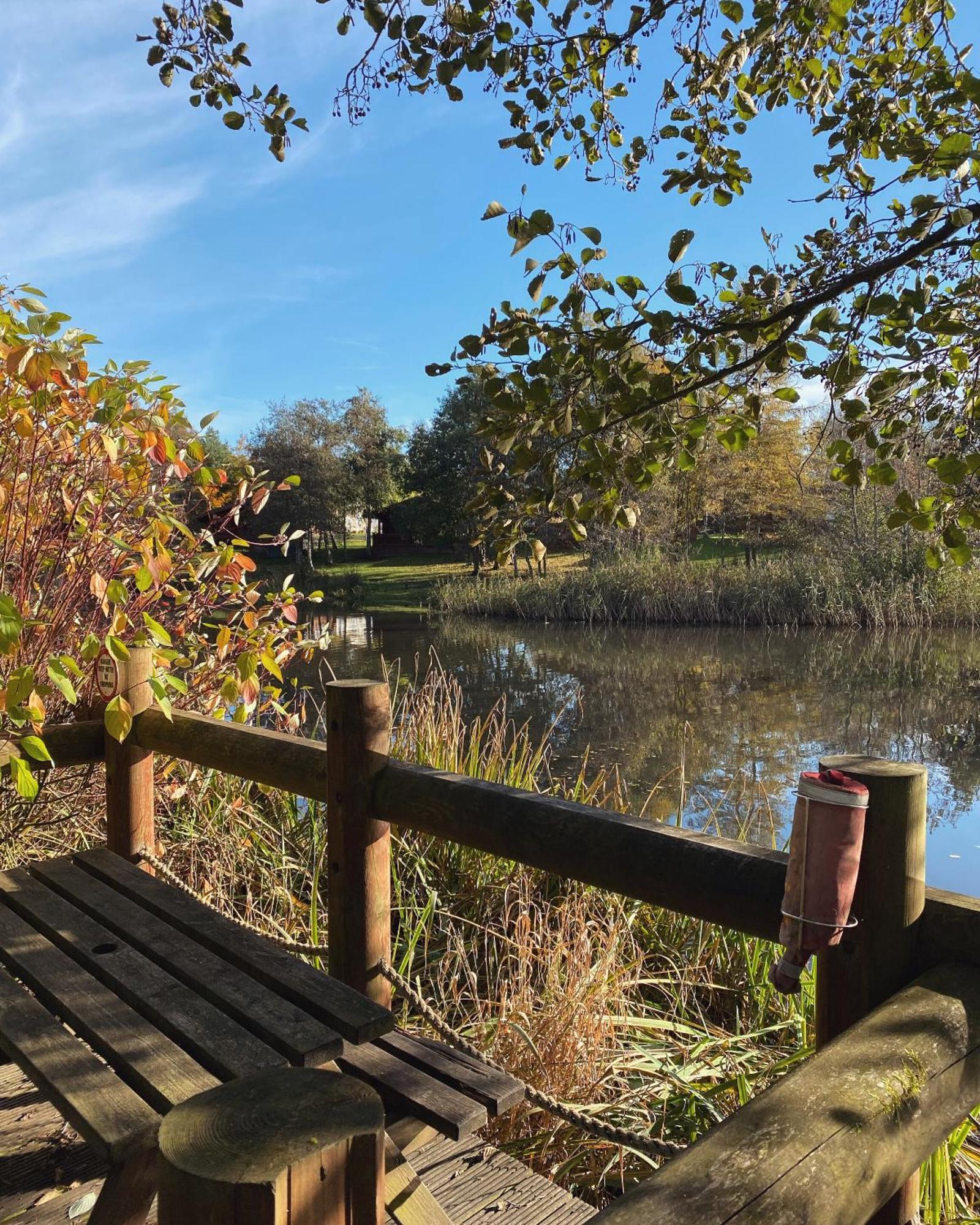 Hazel Oaks, Beautiful Lodge With Hot Tub - Sleeps 6 - Felmoor Park 몰페스 외부 사진